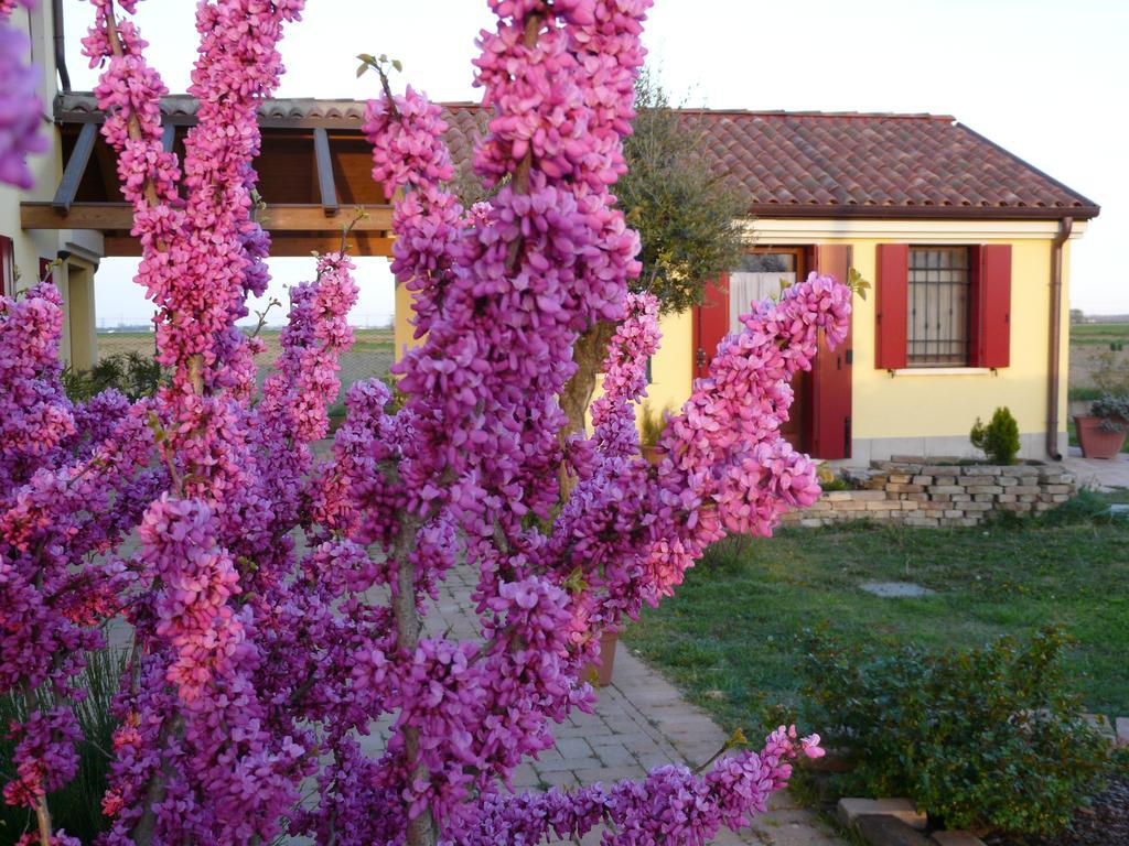B&B LA Garzetta Adria Zewnętrze zdjęcie
